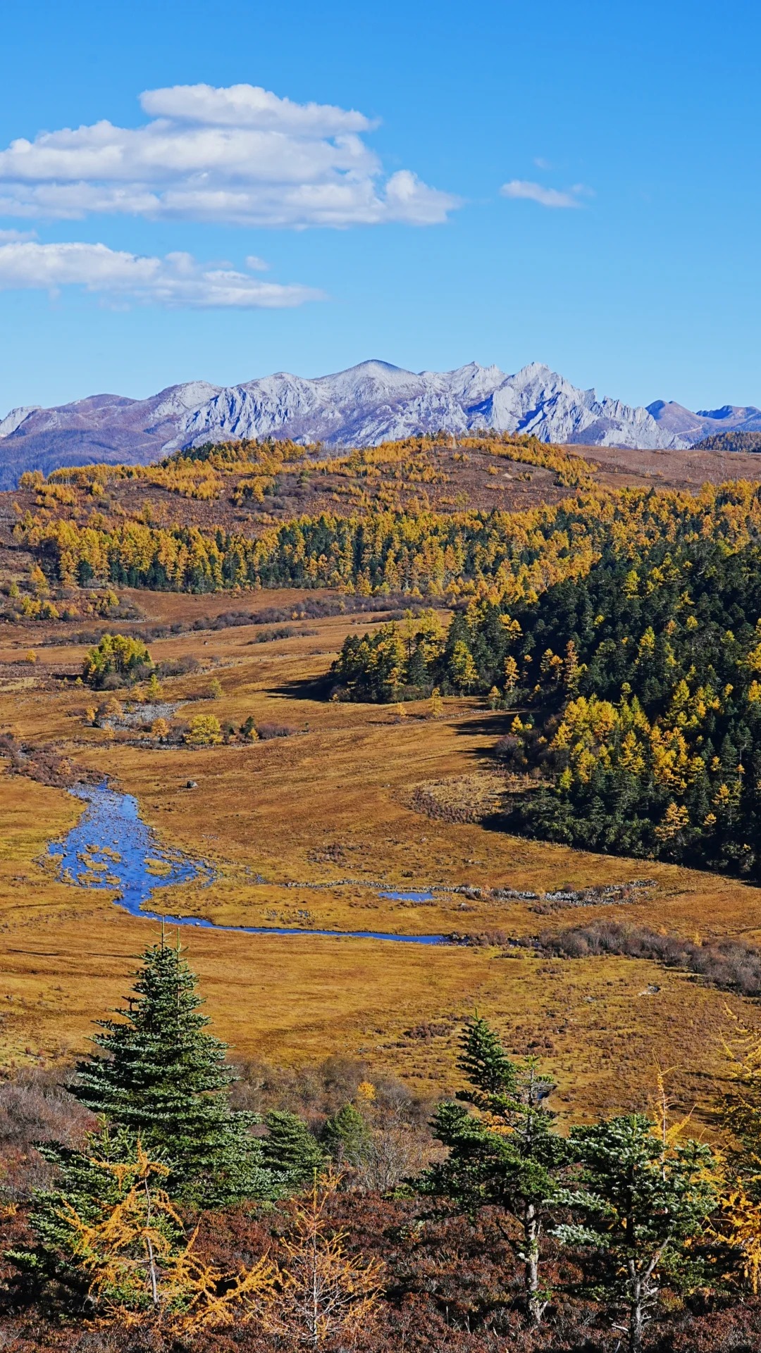 香格里拉尼汝秘境徒步_7_飞阅山河_云南-香格里拉-来自52tours 我爱旅游网